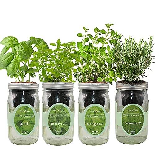 Italian Herb Garden Growing Kit - Gifts for guy friends made simple. Find unique gift Ideas for guys friends. Gifts for guys in their 20s.